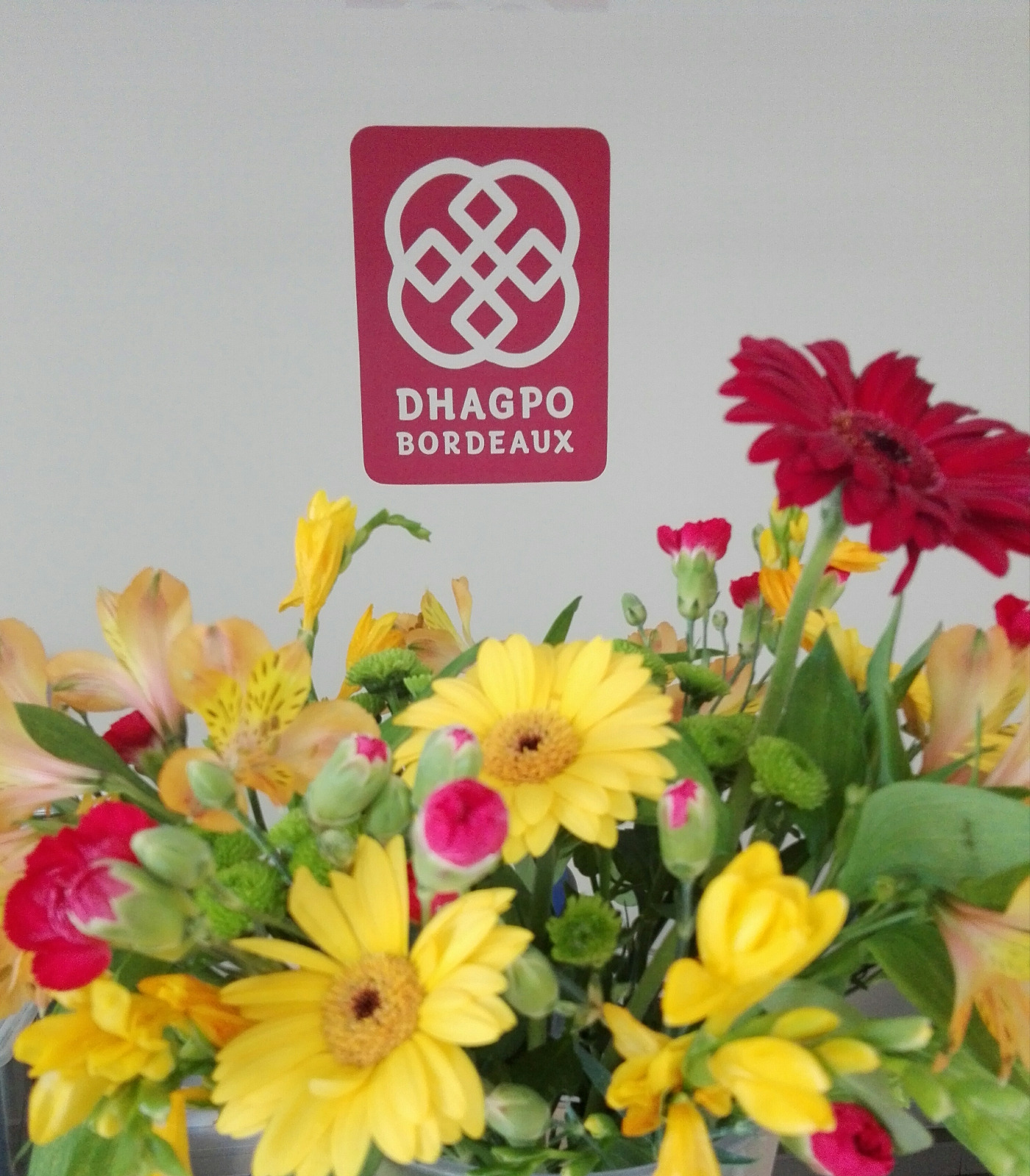 accueil_dhagpo_Bdx